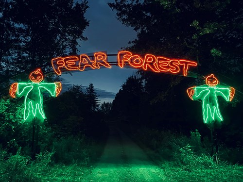 Fear Forest in Trumbull County