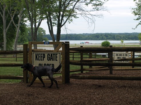 Cooperation Station Dog Park at Mosquito Lake State Park in Northeast Ohio